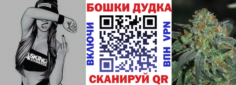 Купить закладки  Горняк  Каннабис индика 